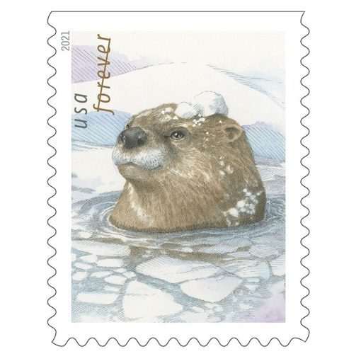 2021 Otter in the Snow Forever®Stamp | Tool Stamps US Postage Stamps