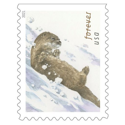 2021 Otter in the Snow Forever®Stamp | Tool Stamps US Postage Stamps