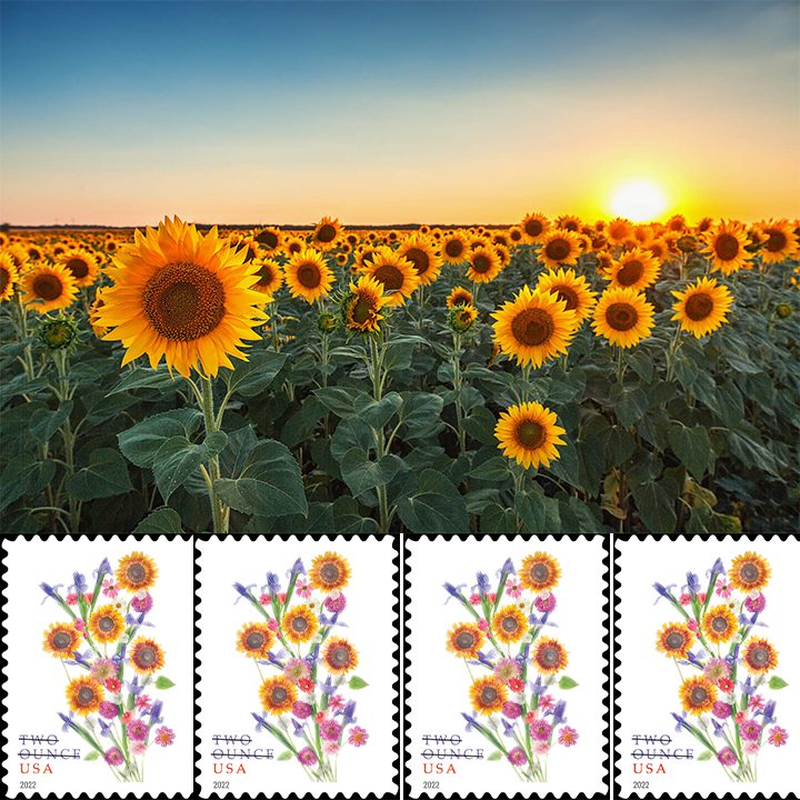 2022 Sunflower Bouquet Two Ounce Forever®Stamp | Tool Stamps US Postage Stamps