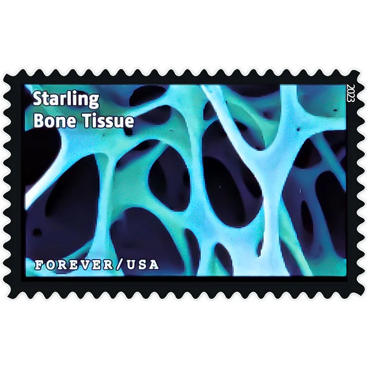 2023 Life Magnified Stamps - Forever Stamps