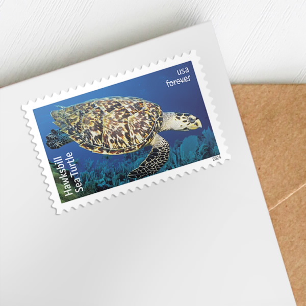 2024 Protect Sea Turtles Stamps - Forever Stamps