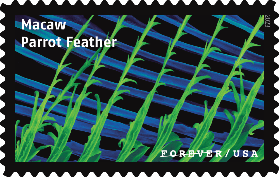 2023 Life Magnified Stamps - Forever Stamps