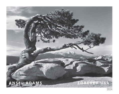 2024 Ansel Adams Stamps - Forever Stamps