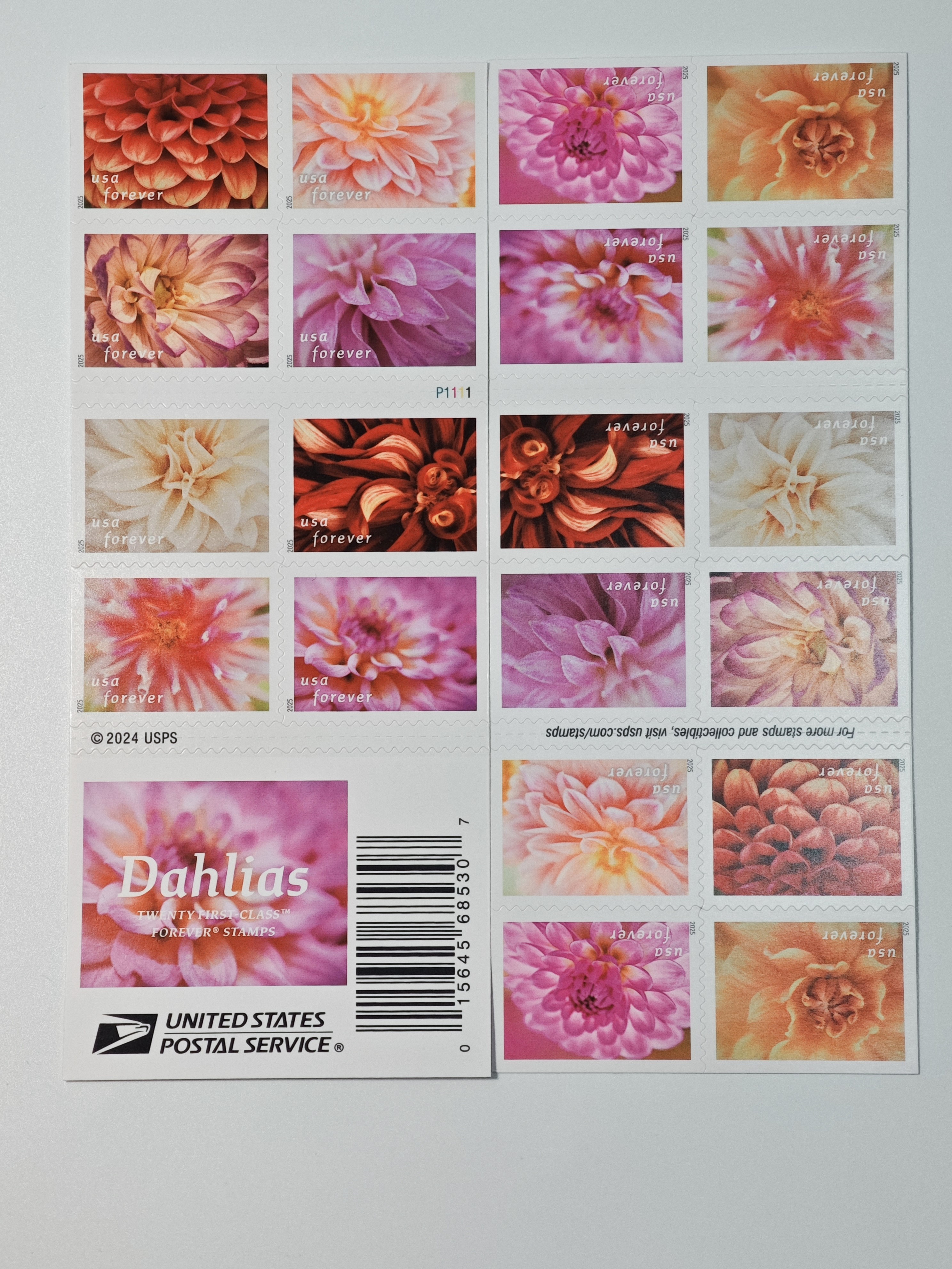 2025 Forever Stamps Dahlias Stamps | Tool Stamps US Postage Stamps